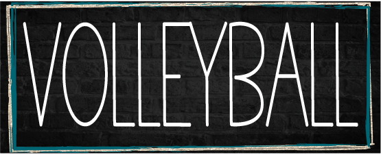 Volleyball